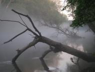 Sukhorabivka - Latest photos