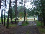 Волошки з panoramio.com