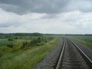 Вербка з panoramio.com