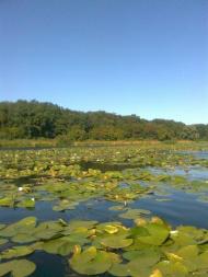 Есхар з panoramio.com