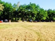 Неморож з panoramio.com