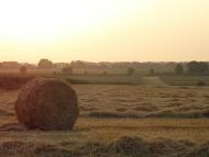 Новооріхівка з panoramio.com