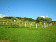 Нижні Ворота з panoramio.com