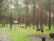 Волошки з panoramio.com