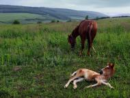 Roztoky - Latest photos