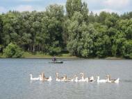 Землянка з panoramio.com