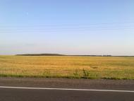 Волошинівка з panoramio.com