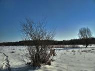 Ківерці з panoramio.com