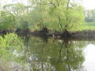 Дюксин з panoramio.com