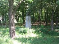 Жовтневий Промінь з panoramio.com