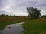 Шевченкове з panoramio.com