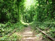 Клевань з panoramio.com