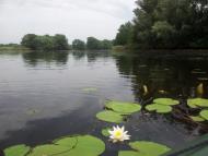 Самусіївка з panoramio.com