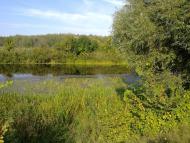 Тарасівка з panoramio.com