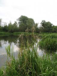 Будилів з panoramio.com