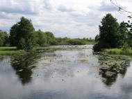 Виликий Обзир з panoramio.com