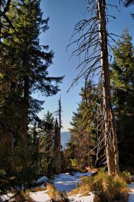 Осмолода з panoramio.com (ч.2)