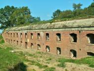 Биків з panoramio.com