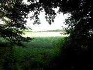 Борщівка з panoramio.com