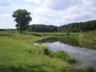 Михля з panoramio.com