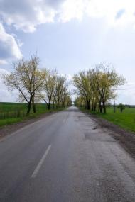 Карлівка з panoramio.com