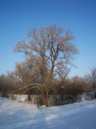 Жовтневий Промінь з panoramio.com