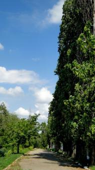 Нововоронцовка - Останні фото