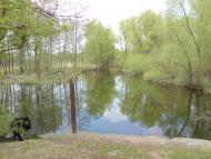 Зеленьки з panoramio.com