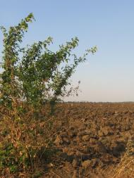 Матвіївка з panoramio.com