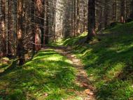 Осмолода з panoramio.com (ч.2)