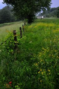 Шпильчина з panoramio.com