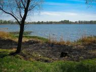 Озерне з panoramio.com