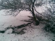 Давидів Брід з panoramio.com