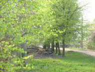 Курганці з panoramio.com