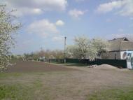 Зеленьки з panoramio.com