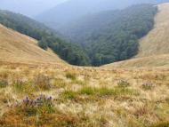 Березники з panoramio.com