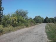 Березанка з panoramio.com