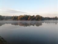 Dzerkalne - Latest photos