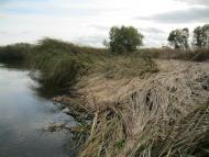 Хотешів - Останні фото