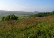 Roztoky - Latest photos