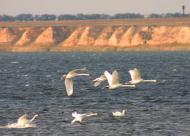 Сергіївка з panoramio.com