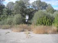 Синичине з panoramio.com