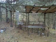 Залісся з panoramio.com