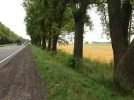 Волошинівка з panoramio.com