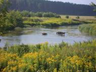 Михля з panoramio.com