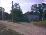 Соломна - Останні фото