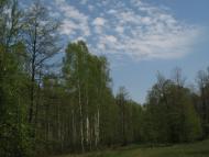 Курганці з panoramio.com
