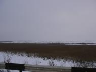 Марьяновка - Последние фото