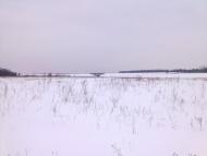 Миколаївське з panoramio.com