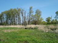 Любимівка з panoramio.com